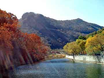 新澳天天开奖资料大全旅游团，娇肤